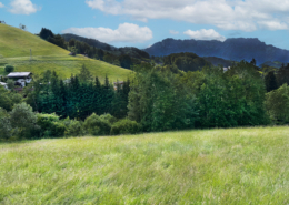 Stilbau Immobilien