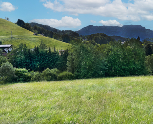 Stilbau Immobilien