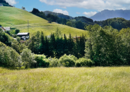 Stilbau Immobilien