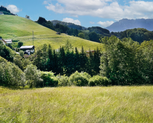 Stilbau Immobilien