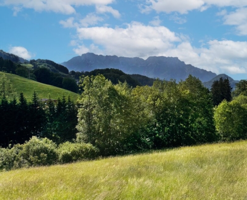 Stilbau Immobilien