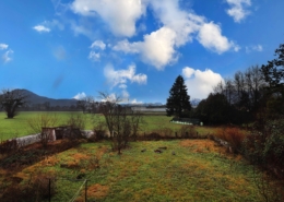 Stilbau Immobilien - Gartenansicht / Aussicht Stilbau Immobilien