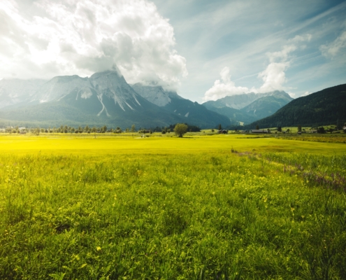 shutterstock_1322639864