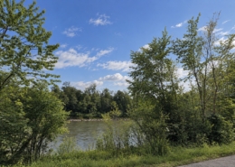 Stilbau Immobilien - Zugang Salzach Stilbau Immobilien